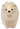 SMALL HEDGEHOG