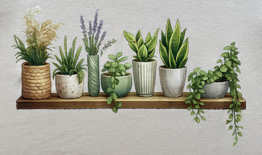 TRANSFER PLANTS
