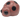 LARGE LADYBUG