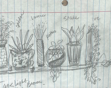 TRANSFER PLANTS