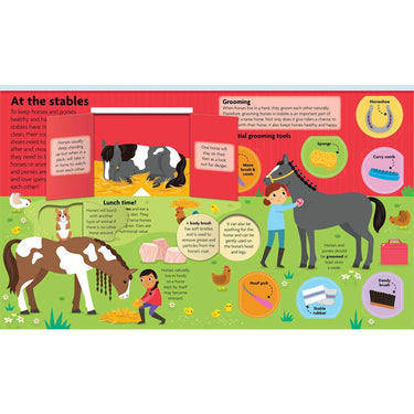 ALL ABOUT HORSES & PONIES