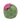 SM MC CACTUS