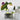 DILL PICKLE DIP MIX