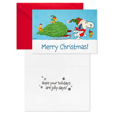 CARDB0X MERRY CHRISTMAS PEANUTS