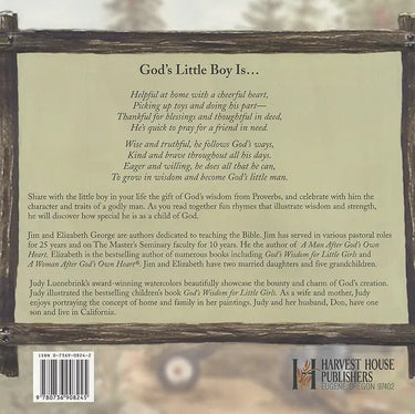 GODS WISDOM FOR LITTLE BOYS