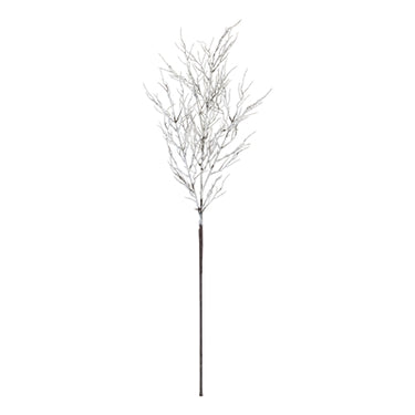 SNOWY BRANCH