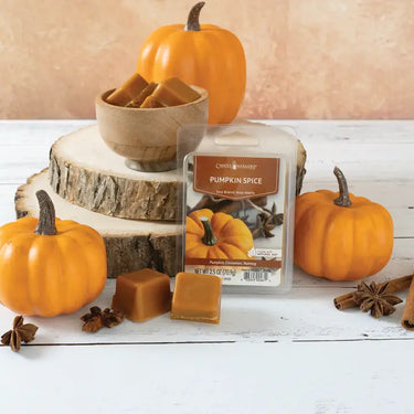 PUMPKIN SPICE WAX MELT