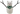 SNOWCAT