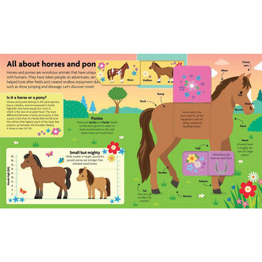 ALL ABOUT HORSES & PONIES