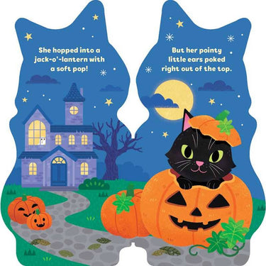 LITTLE CAT BOOK